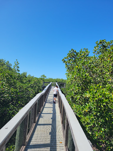 Bear Point Sanctuary - Visual