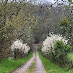 Photo n°65 de Ferme Equestre et chambres d'hôtes Gateau Stables près Guédelon à Saint-Amand-en-Puisaye (Logement indépendant avec services)