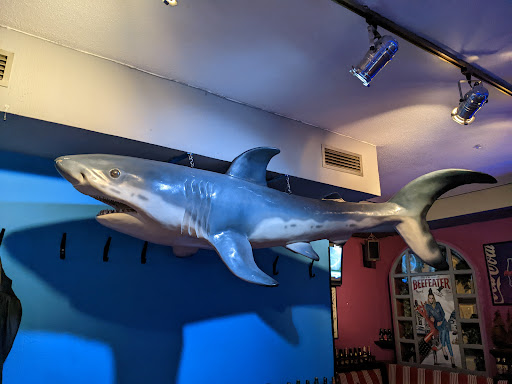 Pub Shark - Visual