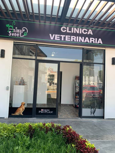 Animal Sweet (Clinica veterinaria & Dog Spa)