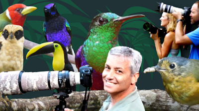 Photos of Cali Tours / Birding Colombia