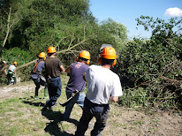 ACI Développement à Argentan