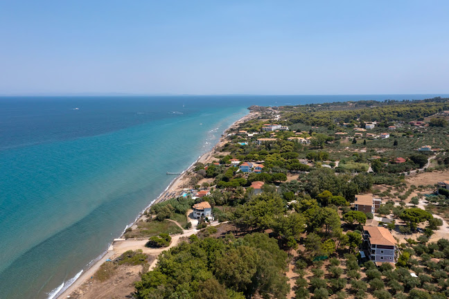 Βασιλικός 291 00