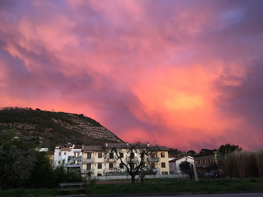Monsummano Scambiatore