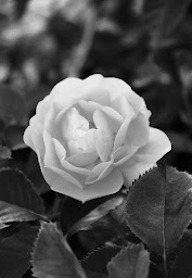 Photo n°11 de AYLE FORMATION à Bourg (Centre de formation)