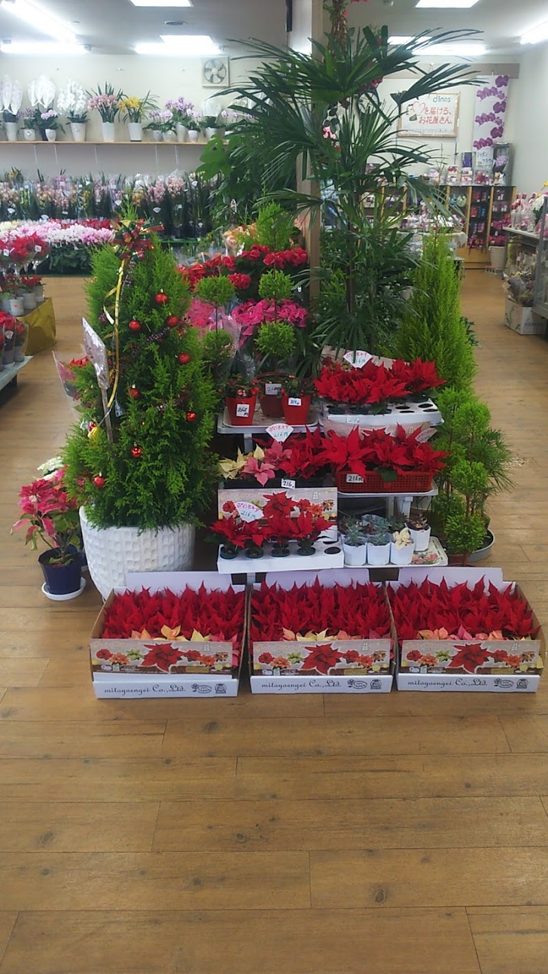 みやきた花店