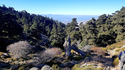 Puerto de los Pilones.Altitud 1750m - Thumbnail
