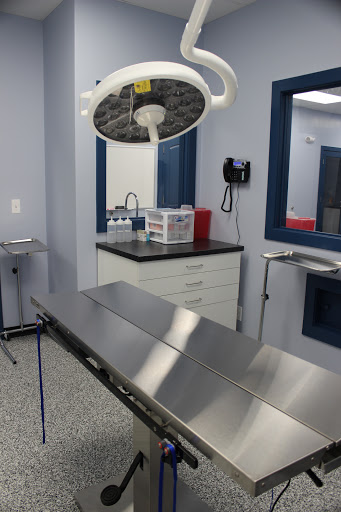 Fur Family Animal Hospital Gallery - United States