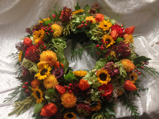 Blumen Keller - Visual