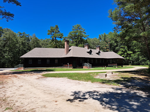 Redden State Forest - Visual