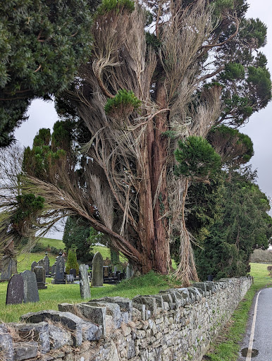 St Michael's Church, Ciliau Aeron - Thumbnail