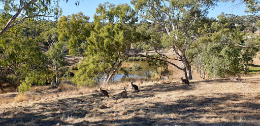 Million Trees Site - Craigburn Farm - Thumbnail