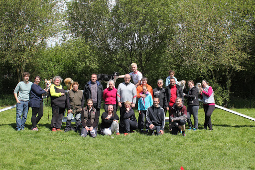 Photo de Club cynophile de Gosné à Mézières-sur-Couesnon (35140)