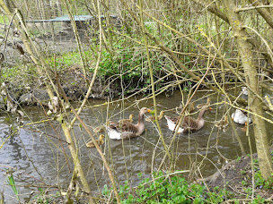 Photo n°14 de Provence Home Care à Saint-Étienne-les-Orgues (Service de réparation de piscines)