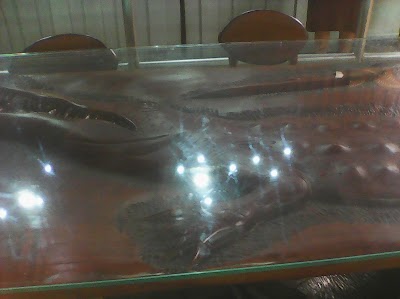 Photos of Restaurante Gran Parqueo Caribe&ntilde;os