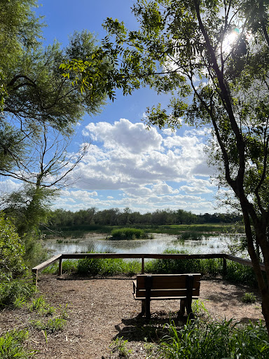 Willow Lakes - Visual