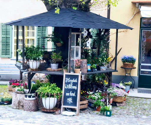 Blumen Wunderprächtig GmbH