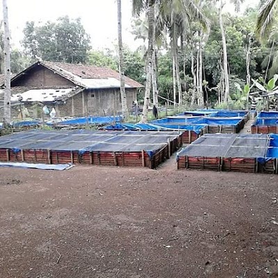 Photos of Turiswan Lele Mitra CPP