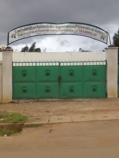 Photos of Confederation Des organisations Paysannes De Guin&eacute;e