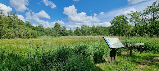 Uitkijkpunt Lytse Wiid Gallery - Netherlands