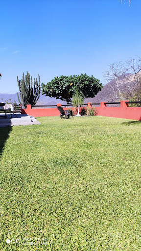 La Pitayera - Visual