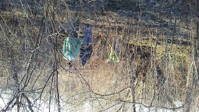Photos of Majors Park