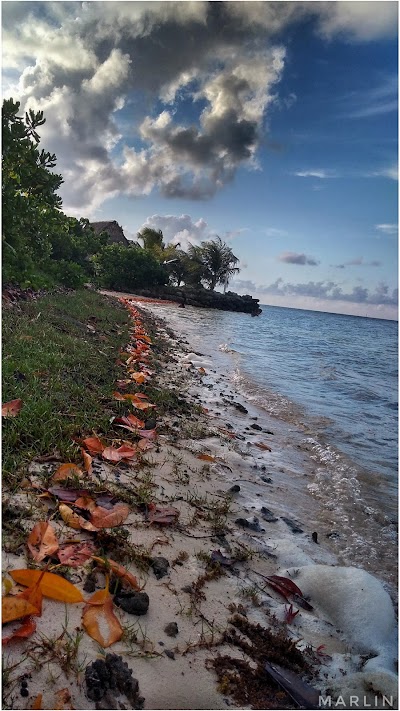 Photos of Nihco Marine Park