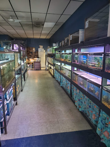 North East Discount Pet Center - Thumbnail