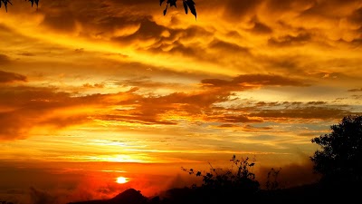 Photos of Sunset Garden's