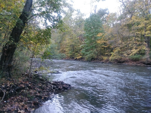 Babb Run Bird and Wildlife Sanctuary