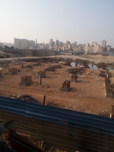 Photos of حياة أليكس بارك