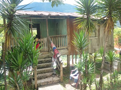 Photos of Mina El Mochito