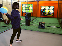 ホームランドーム 藍住店