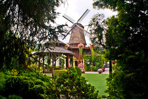Windmill Floral Studio