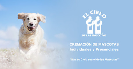 El Cielo de las Mascotas CDMX SUR | Cremación de Mascotas