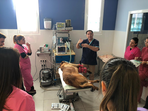 Clínica Veterinaria Vetsur