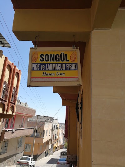 Photos of Hasan Ustanın Fırını