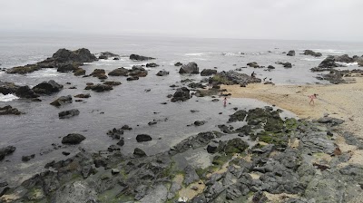 Photos of Plaza de Los Loros
