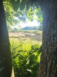 Photo n°23 de Chèvrerie de la Poterie à Dingé (Marché fermier)