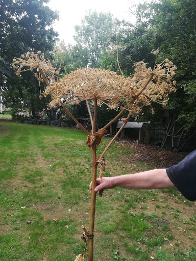 Bloemsierkunst van Well - Thumbnail