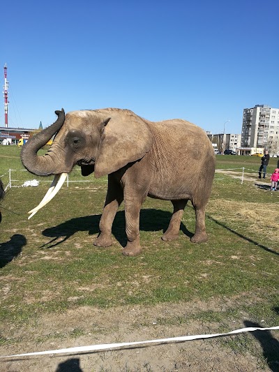 Photos of Akropolis &Scaron;iauliai