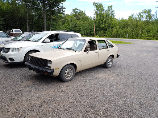 Lévis Carrier - Visual