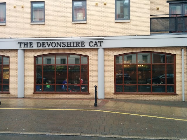 Devonshire Cat