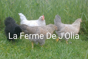 Photo n°1 de La Ferme De J'Olia à Aubas (Élevage de volailles)