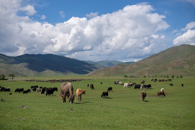 Khangai Nuruu National Park
