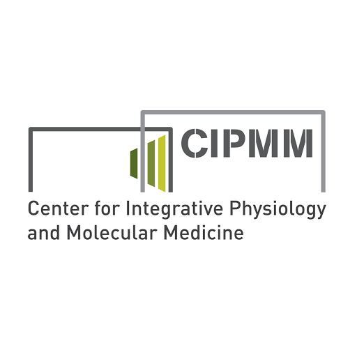 CIPMM - Visual