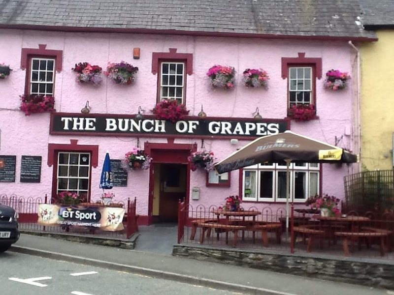 Bunch of Grapes — photo
