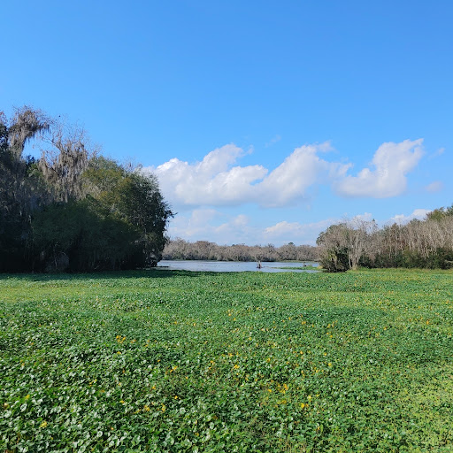 Bluffton Park - Visual