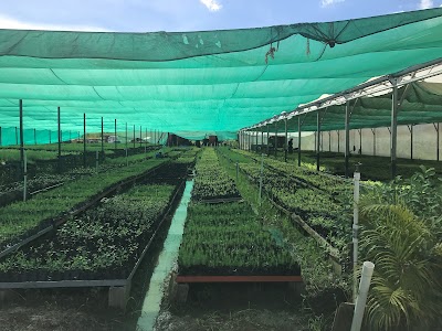 Photos of Devesh & Bharos Farm