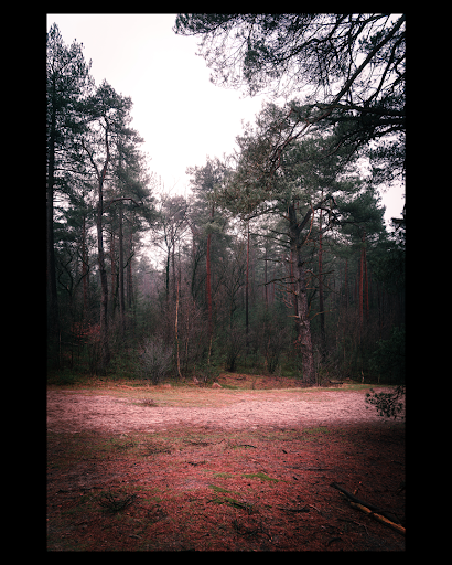Hike in den Treek Gallery - Netherlands